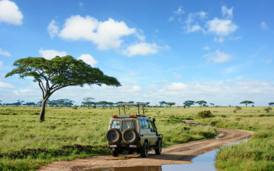 Safari by TalentMiles: Field learning that drives change